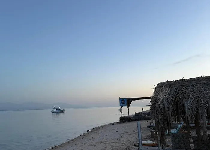 Sea View Camp